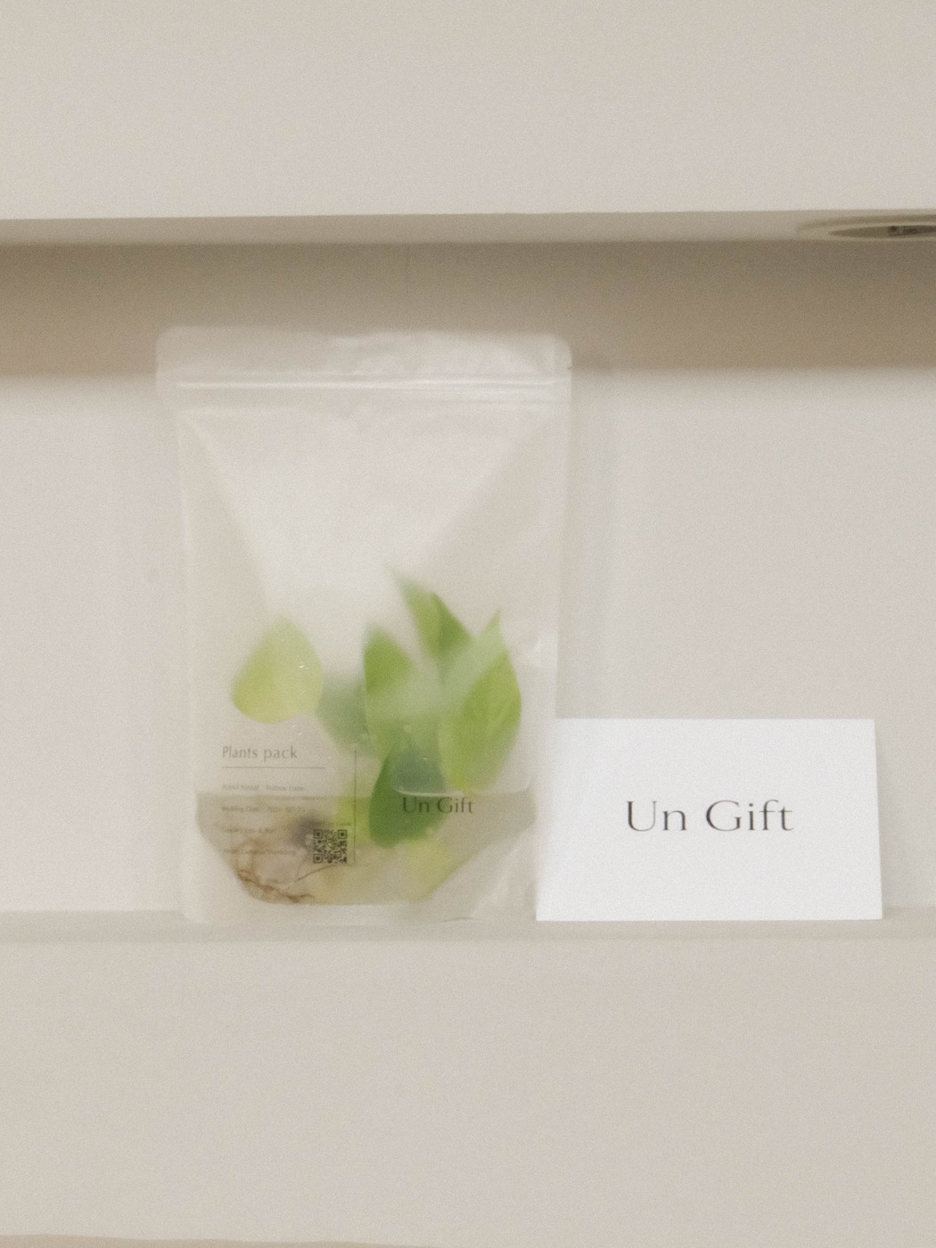 水の中に伸びる、水耕栽培の植物の根