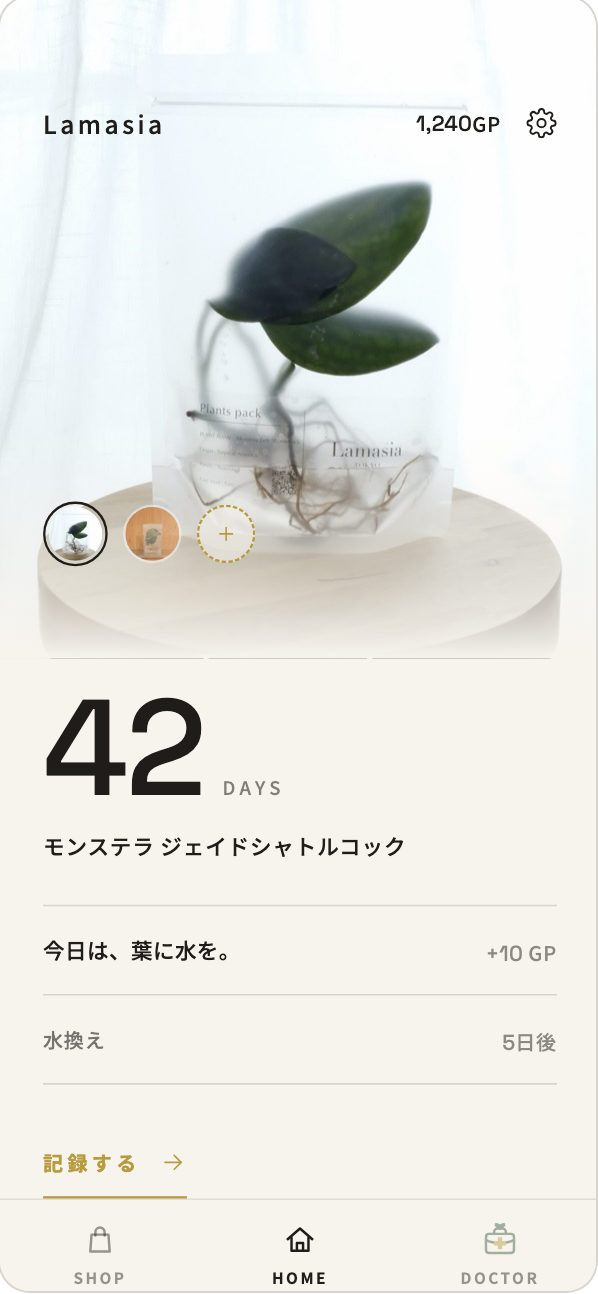 アプリのホーム画面。モンステラ ジェイドシャトルコックの写真と、育てはじめて42日目、今日やること「葉に水を。」が表示されている