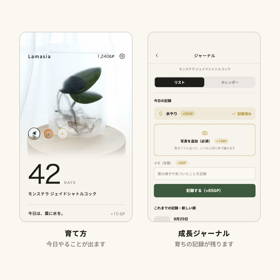 専用アプリの画面。今日やることと、水やりの記録が表示されている