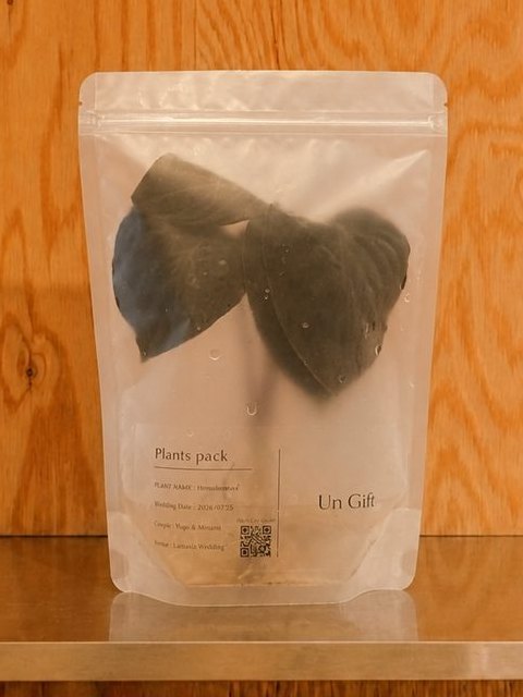 Un Giftのパウチに入ったホマロメナ