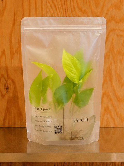 Un Giftのパウチに入ったポトス ライム