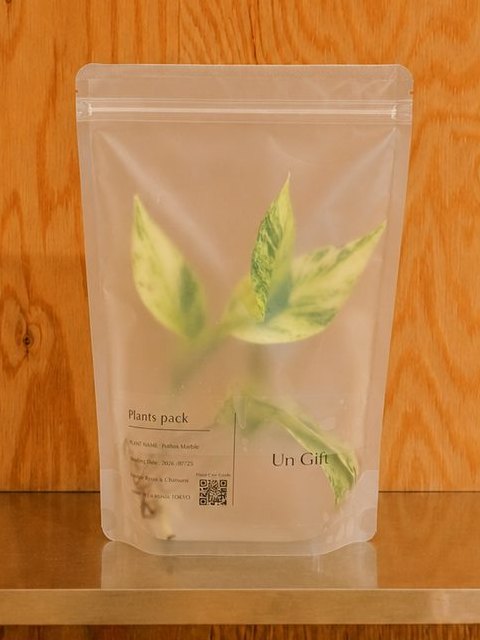Un Giftのパウチに入ったポトス マーブル