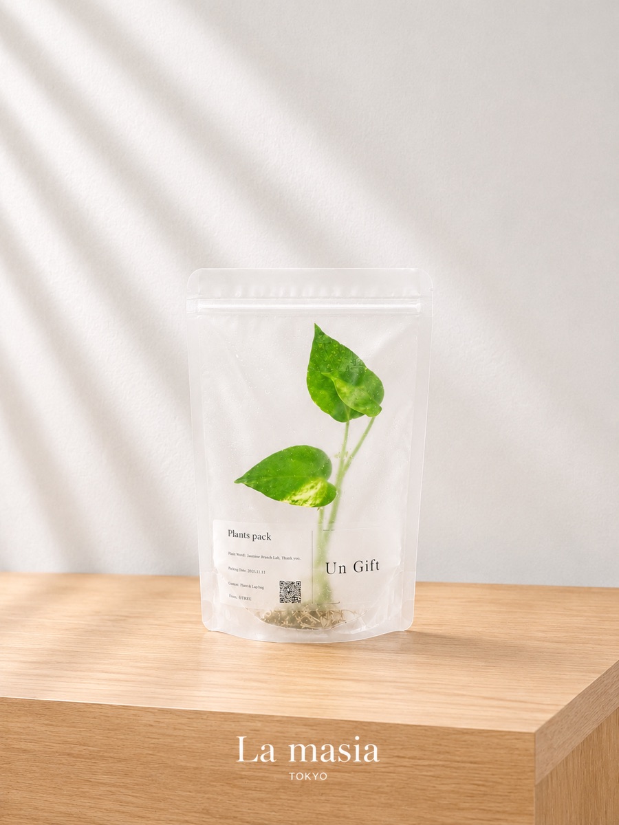 透明な容器の中で白い根が水に揺れる観葉植物